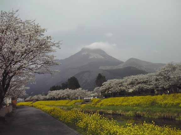 由布院温泉